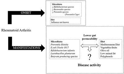 Diet, Microbiota, and Gut Permeability—The Unknown Triad in Rheumatoid Arthritis